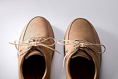 宠物金鱼玩《艾尔登法环》 竟打过女武神一阶段！